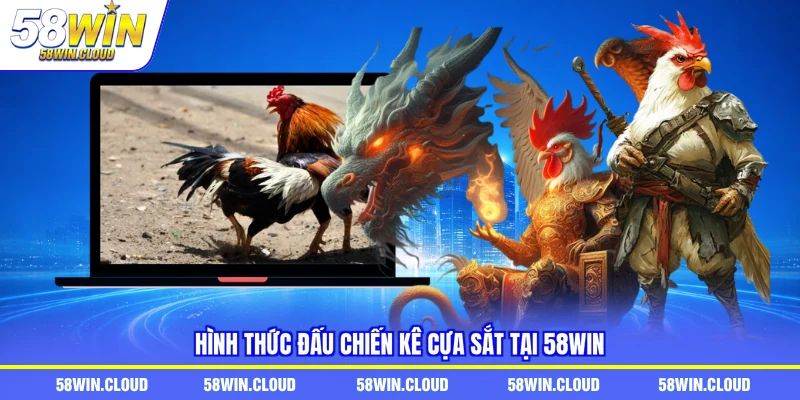 Hình thức đấu chiến kê cựa sắt tại 58Win