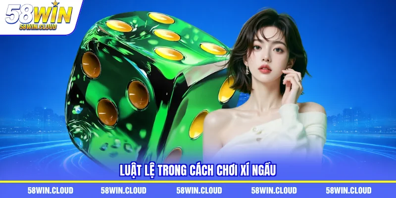 Luật lệ trong cách chơi xí ngầu
