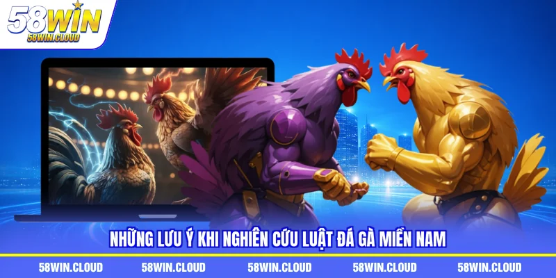 Những lưu ý khi nghiên cứu luật đá gà miền Nam