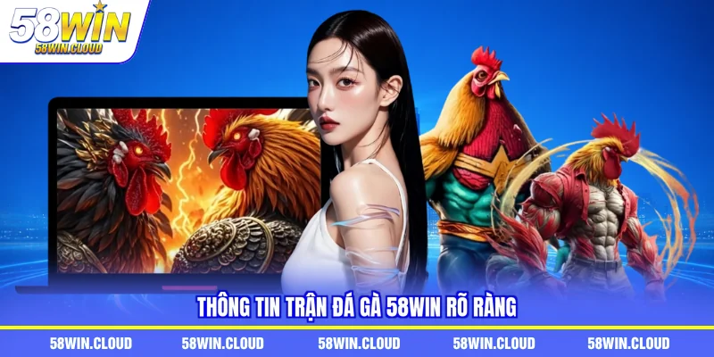 Thông tin trận đá gà 58Win rõ ràng 