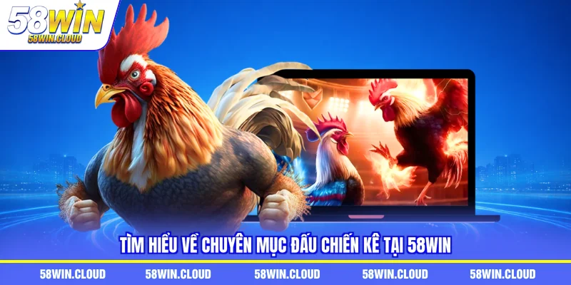Tìm hiểu về chuyên mục đấu chiến kê tại 58Win