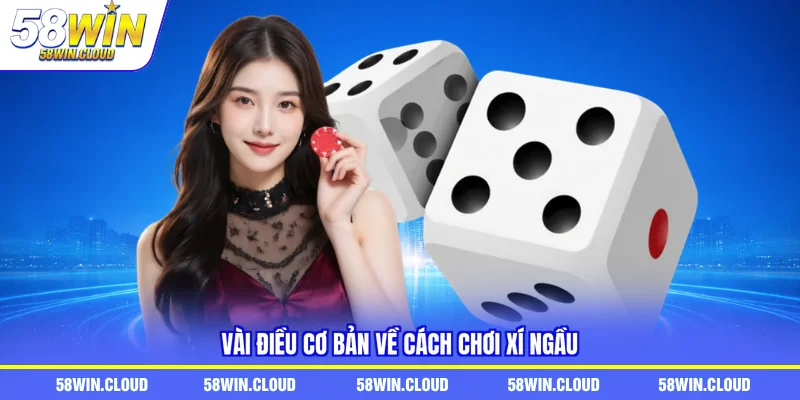 Vài điều cơ bản về cách chơi Xí Ngầu