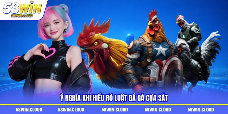 Ý nghĩa khi hiểu rõ luật đá gà cựa sắt